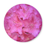 Deep Pink Azalea Cluster flowers magnets