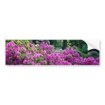 Deep Pink Azalea flowers Bumper Sticker