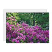 Deep Pink Azalea flowers Invite