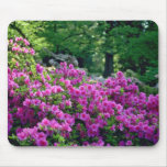 Deep Pink Azalea flowers Mousepads