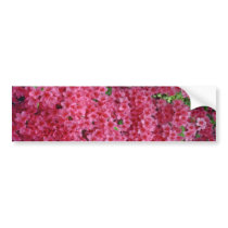 Deep Pink Azaleas flowers Bumper Sticker