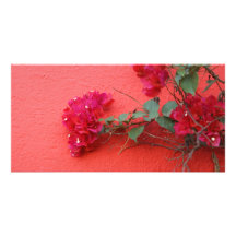 Deep Pink Bougainvillea Photo Greeting Card