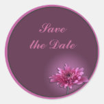 Deep Pink Daisy Sticker