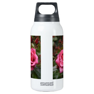 dew drop water bottle
