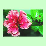 Deep pink hibiscus canvas prints