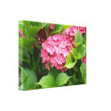 Deep Pink Hydrangea Bloom wrappedcanvas