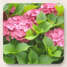 Deep Pink Hydrangeas Coaster