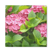 Deep Pink Hydrangeas magnets by seashell2 Deep Pink Hydrangeas magnets