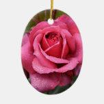 Deep Pink Morning Rose Christmas Ornaments