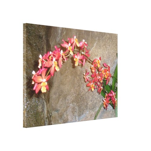 Deep Pink Orchids Wrapped Canvas zazzle_wrappedcanvas
