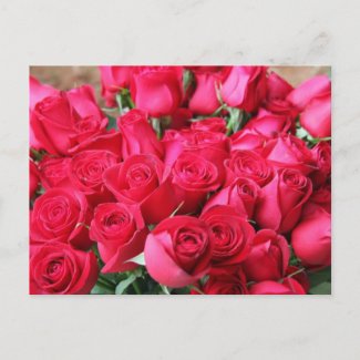 Deep Pink Rose Bouquet