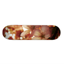 Deep Pink Skate Boards