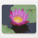 Deep Pink Water Lily Mousepad by FNolan Deep Pink Water Lily Mousepad