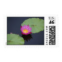 Deep Pink Water Lily Postage postage by FNolan Deep Pink Water Lily Postage postage