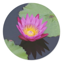 Deep Pink Water Lily Sticker