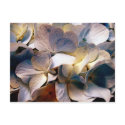 Deep postcards by REDINARD Deep postcards