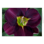 deep purple, floral designs, floral paintings,