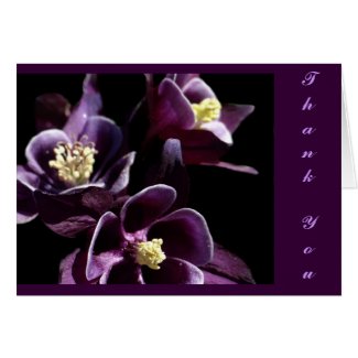 Deep Purple Columbines Greeting Cards