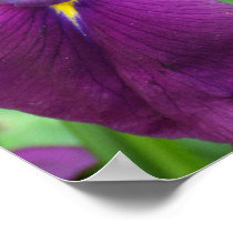 Deep Purple Iris Poster