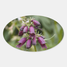 Deep Purple Oval Sticker