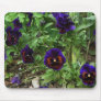 Deep Purple Pansy ~Mouse Pad~