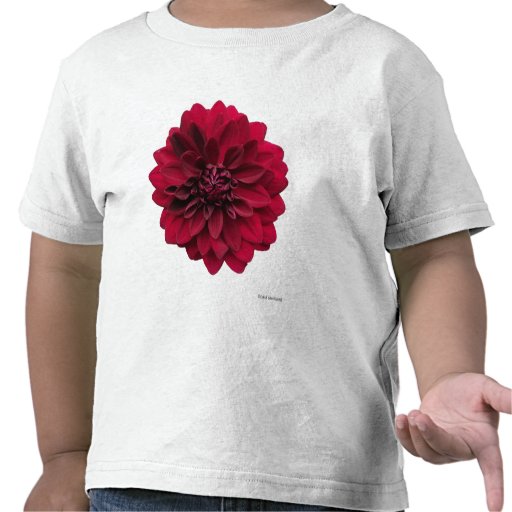 Deep Red Dahlia T Shirt
