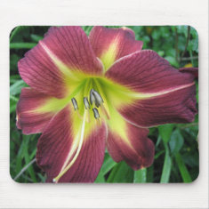 Deep Red Day lily mousepad