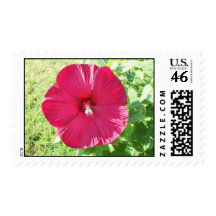 Deep red Hibiscus Postage