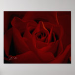 Deep Red Rose Poster
