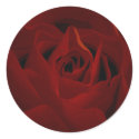 Deep Red Rose Sticker by LittleMilkyShop Deep Red Rose Sticker