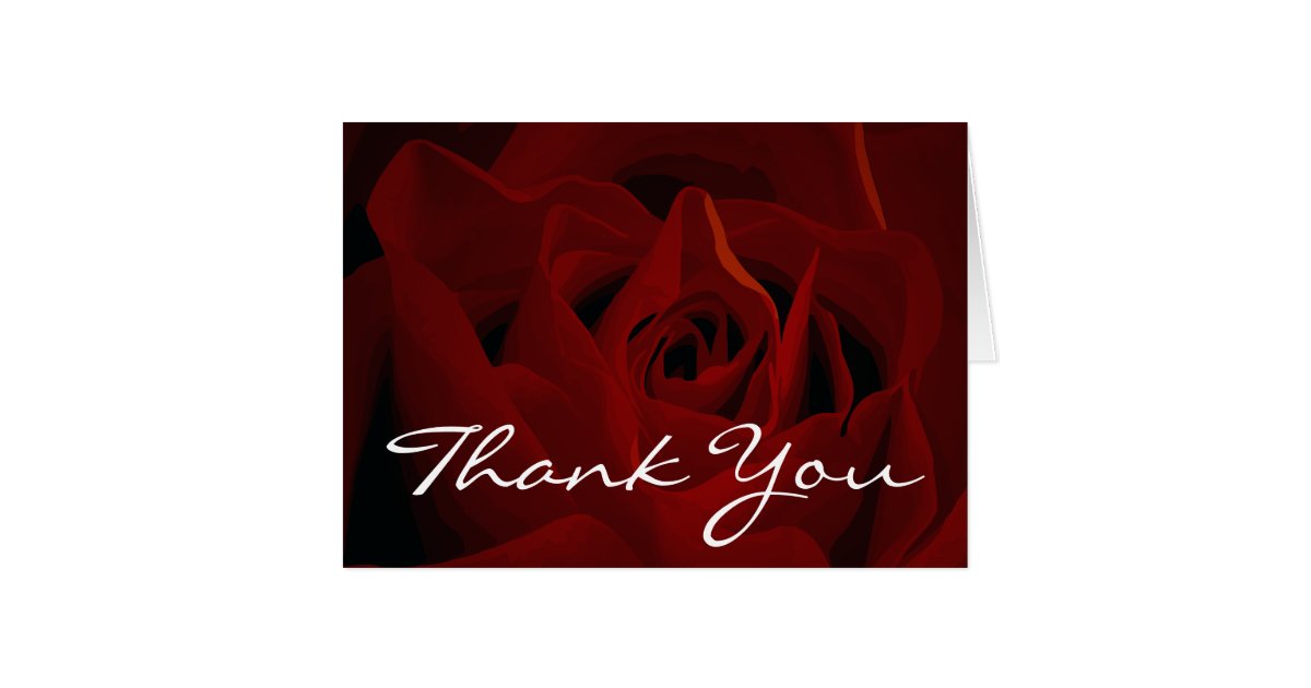 Deep Red Rose Thank You Card Zazzle