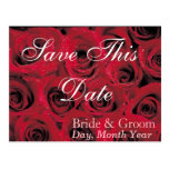 Deep Red Roses Save the Date Postcard (1)