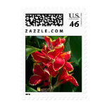 Deep Red Wedding Colors