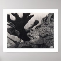 Deep Retreat Print