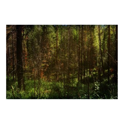 Deep Siberia 2 Print by vladstudio