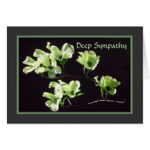 Deep Sympathy Card Dogwood Blooms