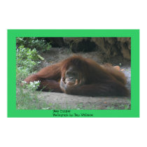 Deep Thinker posters