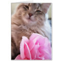 deep thoughts cards by KatAnnette deep thoughts cards
