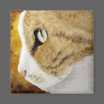 Deep Thoughts Cat Magnet by paintingcoyote36 Deep Thoughts Cat Magnet