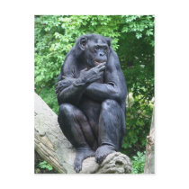 Deep thoughts postcards by deemac1 Deep thoughts postcards