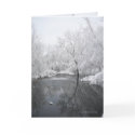 Deep Winter Reflections cards by MoiraAshleigh Deep Winter Reflections cards