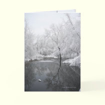 Deep Winter Reflections cards by MoiraAshleigh Deep Winter Reflections cards