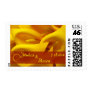 Deep Yellow Calla Lilies