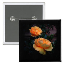 Deep Yellow - Orange Roses, on Black. Custom Button