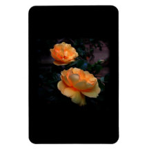 Deep Yellow - Orange Roses, on Black. Vinyl Magnet