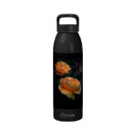 Deep Yellow - Orange Roses, on Black. Drinking Bottle