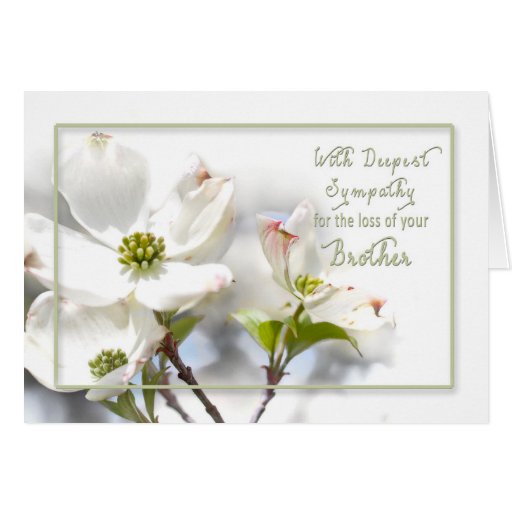 Deepest Sympathy Apple Blossoms Loss Brother Card Zazzle