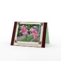 DEEPEST SYMPATHY cards