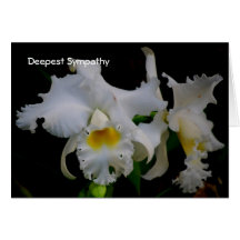 Deepest Sympathy Greeting Card
