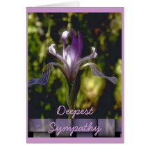 Deepest Sympathy Greeting Cards